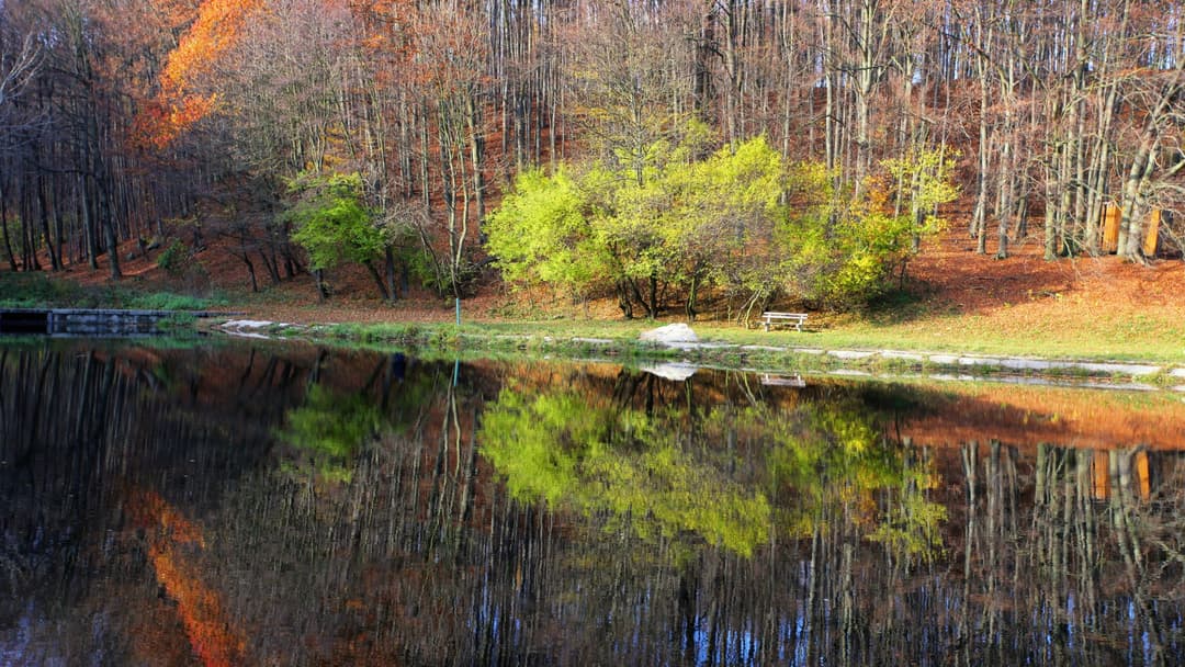 Forêt d'automne en Europe centrale avec lac calme reflétant les arbres aux couleurs ocre, vert et or