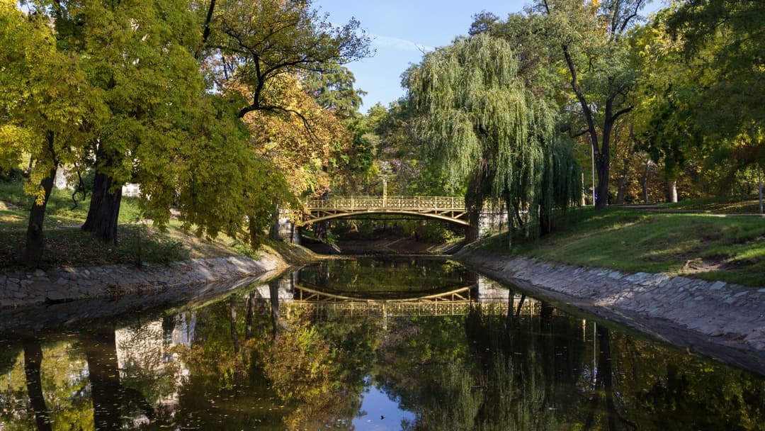 Petit pont en bois enjambant un ruisseau dans une forêt slovaque luxuriante aux arbres verts et saules pleureurs