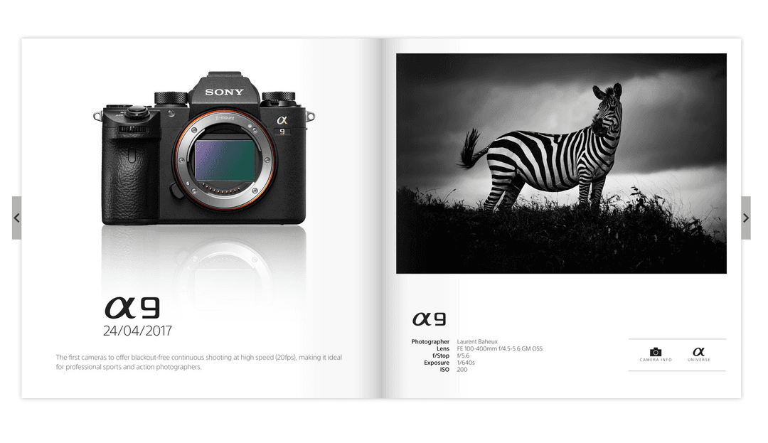 Infographie anniversaire Sony Alpha montrant l'appareil photo α9 et une photo de zèbre en noir et blanc prise avec ce modèle lancé en 2017