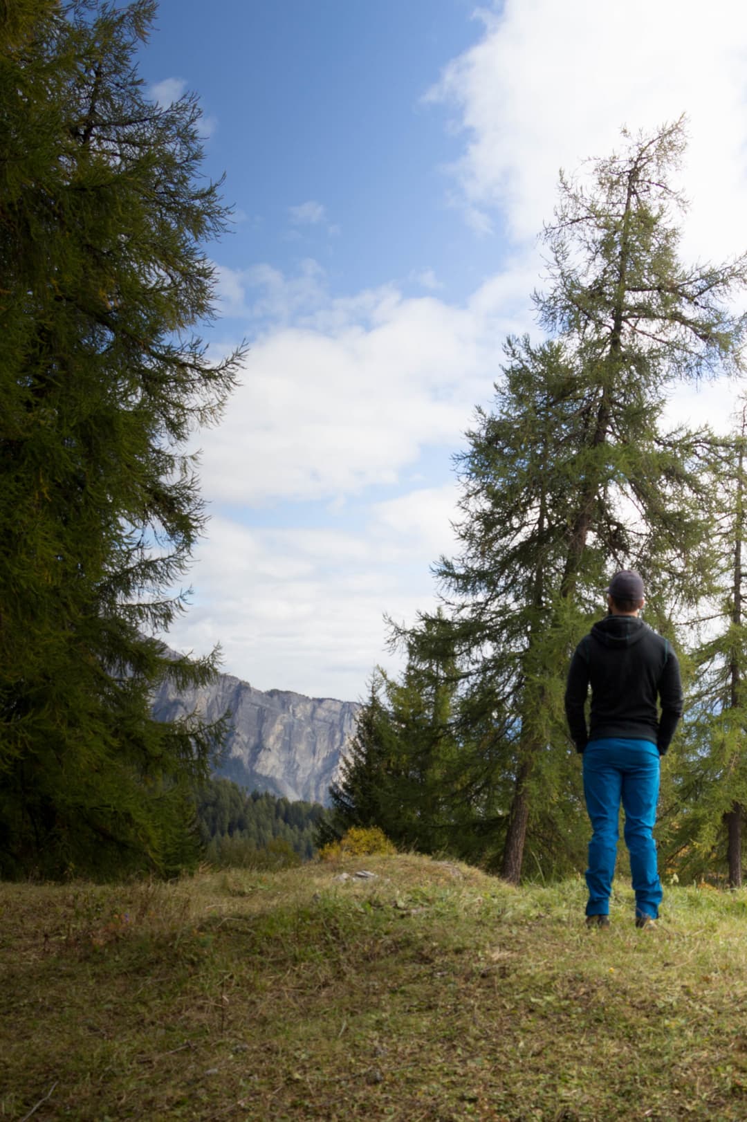 Randonneur de dos portant le pantalon ODLO SOLITUDE bleu dans un paysage montagneux avec sapins