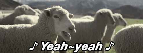 Troupeau de moutons blancs dans un pré avec texte « Yeah-yeah » en lettres blanches