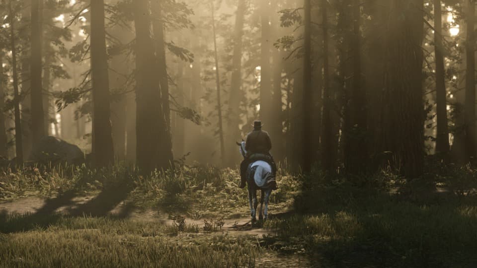 Arthur Morgan à cheval dans une forêt brumeuse, entouré de grands arbres aux troncs foncés