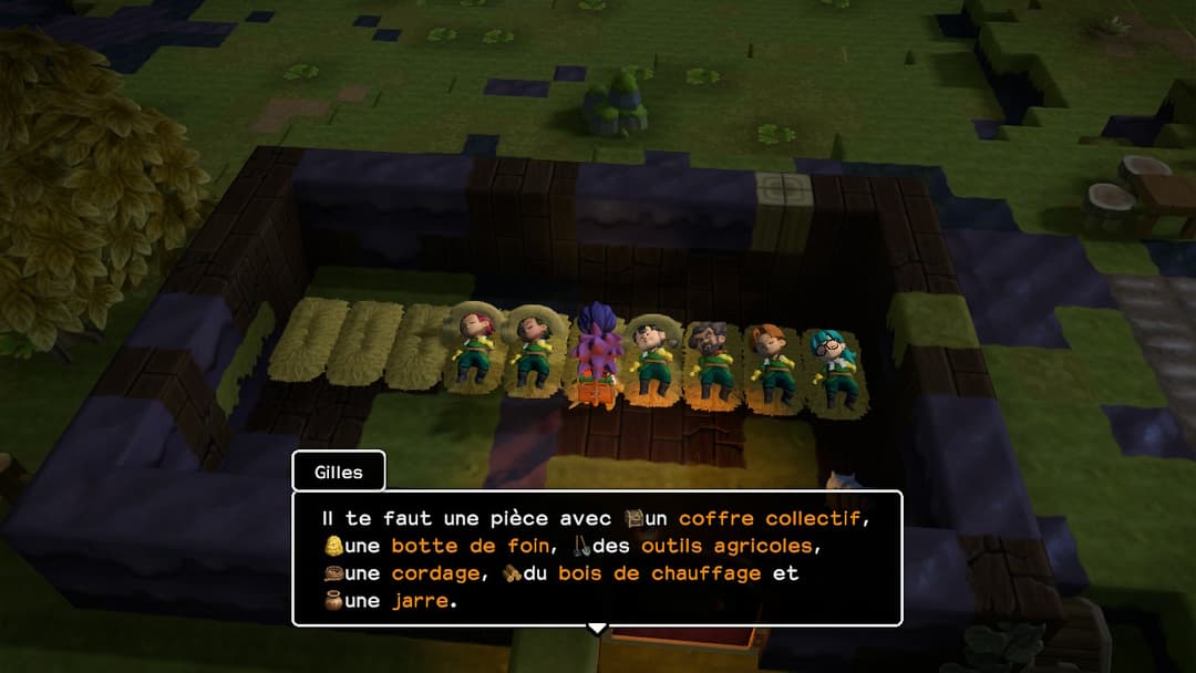 Dragon Quest Builders 2, plusieurs personnages debout dans une pièce avec dialogue de quête affichant une liste d'objets à collecter
