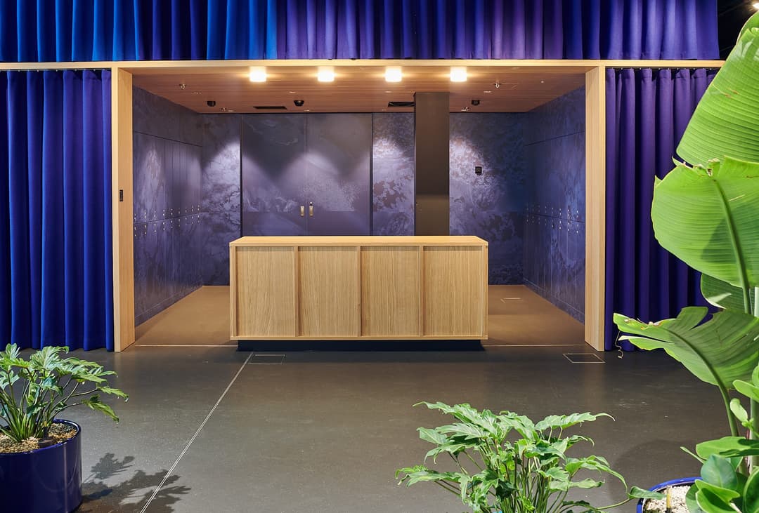 Bureau d'accueil moderne avec comptoir en bois clair, parois violettes illuminées, rideaux bleus et plantes vertes