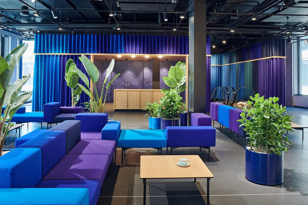 Espace de travail moderne aux teintes bleues et violettes avec canapés colorés, plantes vertes et mobilier en bois clair