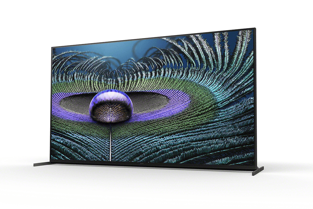 Téléviseur Sony Bravia XR affichant en gros plan l'œil irisé d'un paon aux teintes bleu, vert et violet