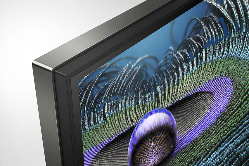 Téléviseur Sony Bravia XR affichant en gros plan les détails colorés d'une plume de paon avec reflets bleus et violets