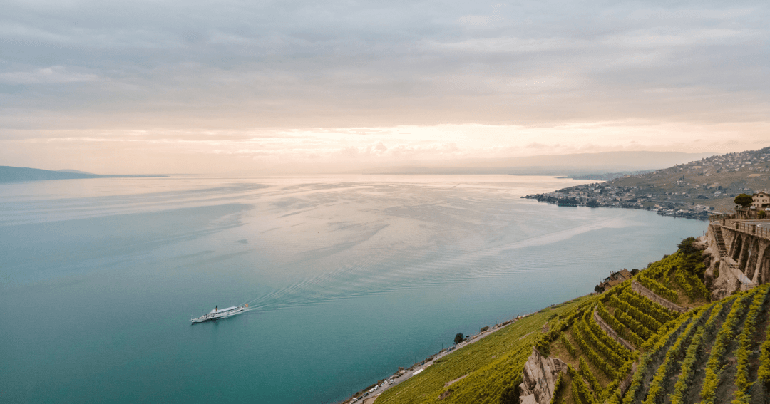 Terrasses de vignobles en pente dominant le lac Léman, avec vue sur les Alpes enneigées et un bateau au loin