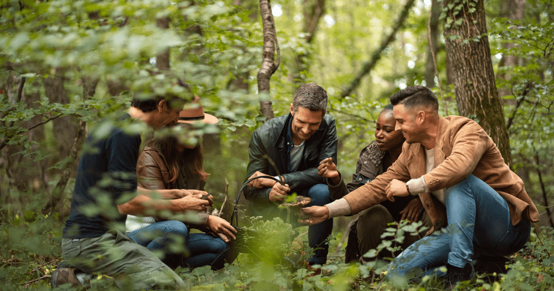 Groupe de clients du Four Seasons cueillant des produits frais en forêt lors d'une activité culinaire de découverte épicurienne