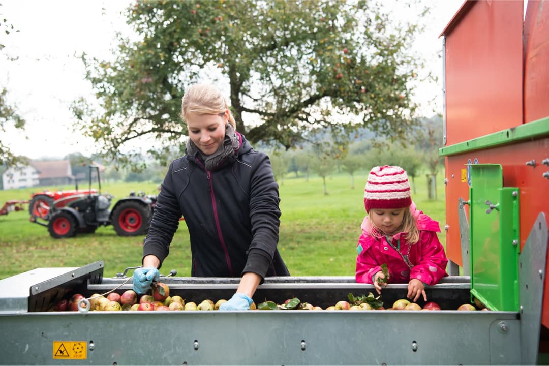 Femme et fillette trient des pommes dans une remorque agricole, verger et tracteur en arrière-plan