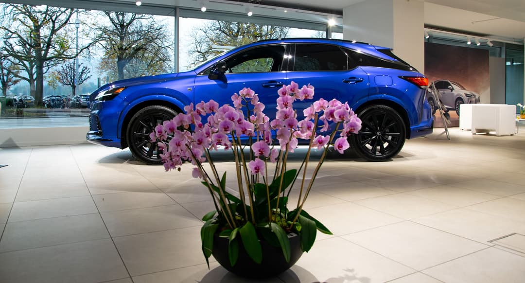 Lexus électrique bleue exposée au Lexus City Store de Zurich, avec orchidées roses en premier plan
