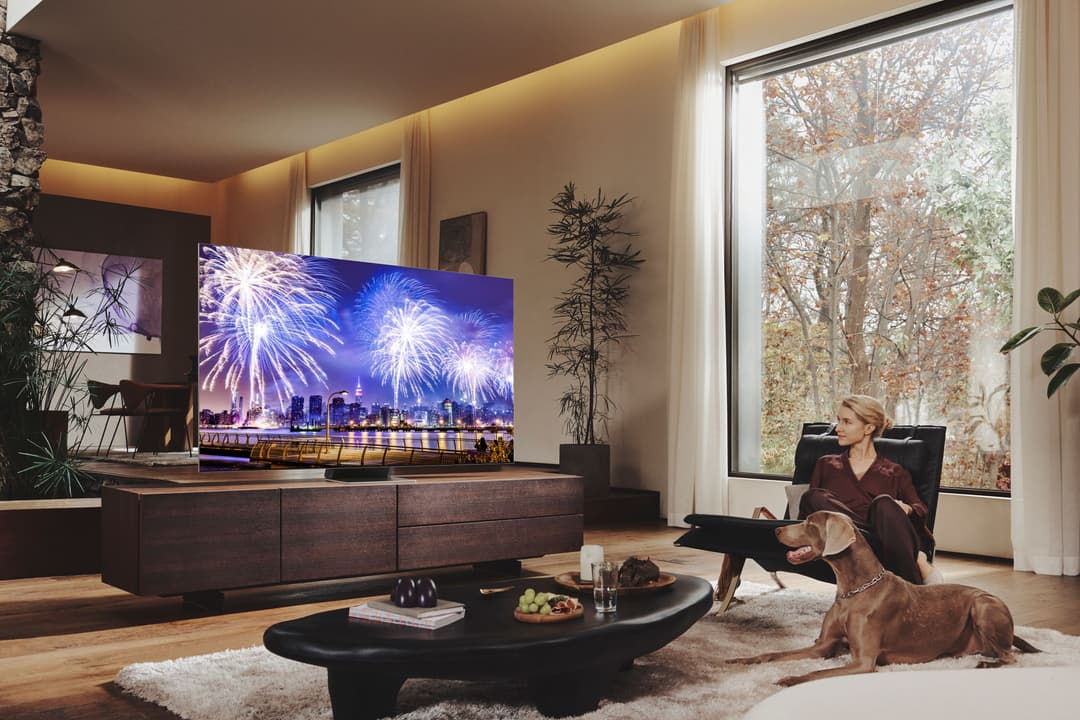 Samsung The Frame affichant des feux d'artifice au-dessus d'une ville, dans un salon épuré avec femme et chien