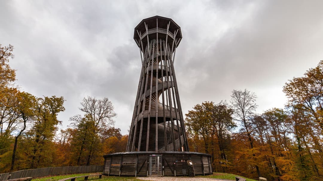 Tour de Sauvabelin, structure en bois moderne avec plate-forme panoramique, entourée de forêt aux couleurs automnales