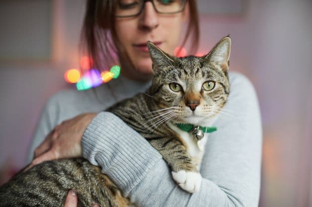 Femme portant des lunettes tenant un chat tigré dans ses bras, avec des lumières colorées en arrière-plan
