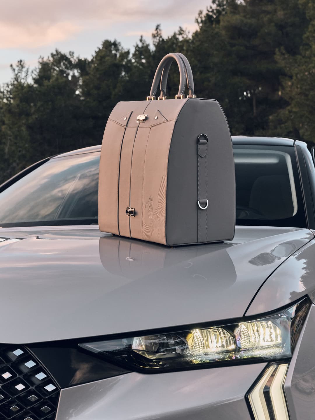 Malle culinaire bicolore beige et gris sur le toit d'une DS Automobiles, en paysage boisé