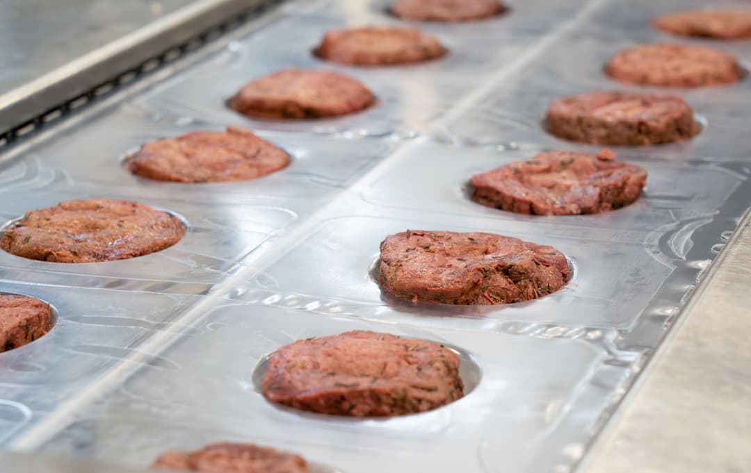 Steaks végétaux Planted alignés sur un moule de production industrielle