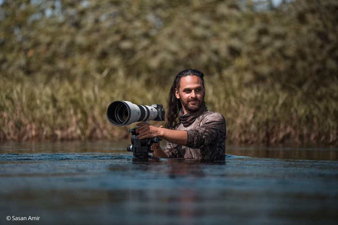 Photographe dans l'eau tenant le super-télézoom Sony 800 mm avec son objectif blanc pointé vers l'avant, roseaux en arrière-plan