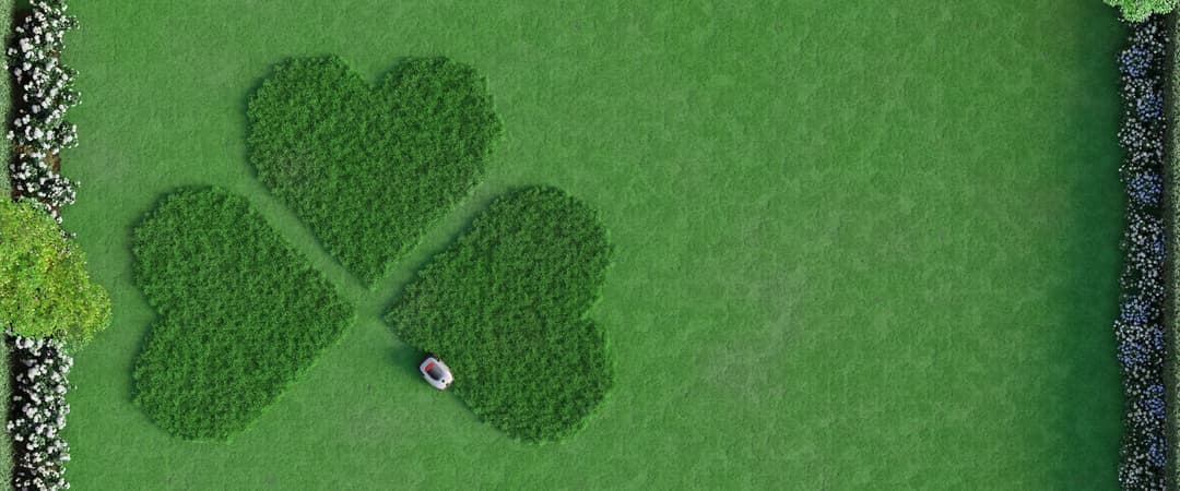Robot tondeuse Dreame A2 vu de dessus dans un jardin avec pelouse verte et zones de fleurs blanches