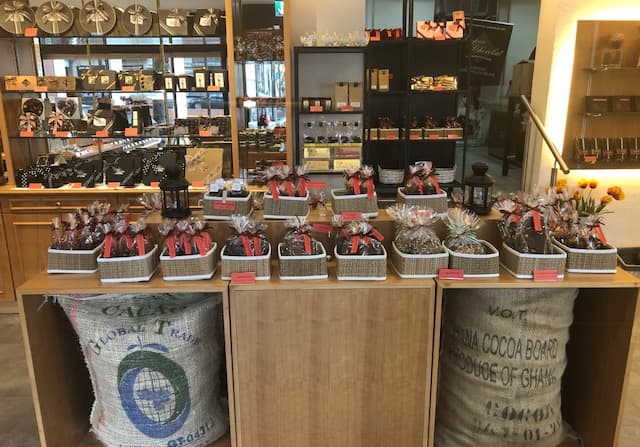 Intérieur d'une chocolaterie aux tons rouges et bois, avec comptoir présentant des chocolats artisanaux en paniers, sacs de jute de fèves de cacao au sol, et machine historique en arrière-plan