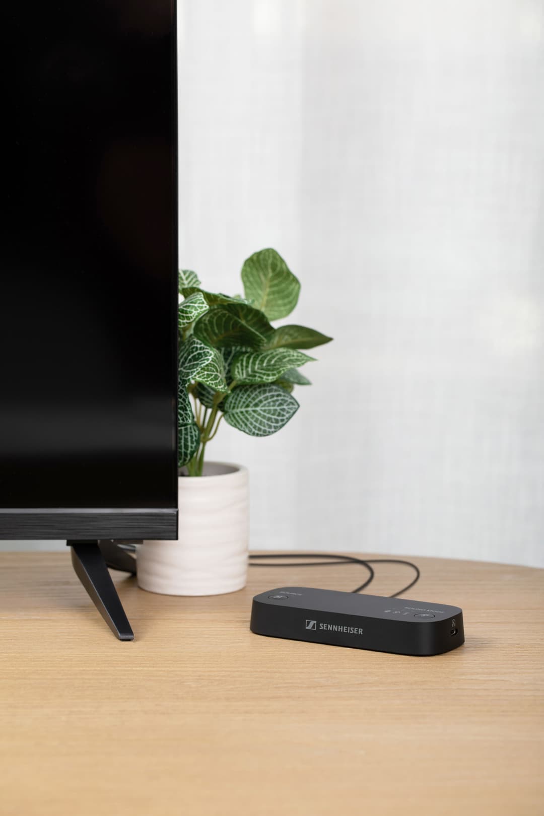 Boîtier noir Sennheiser connecté à un téléviseur et une plante en pot blanc sur un bureau en bois