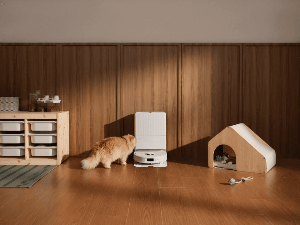 Roborock Qrevo S Pro blanc et gris sur parquet, avec station de nettoyage, chat roux et accessoires de maison