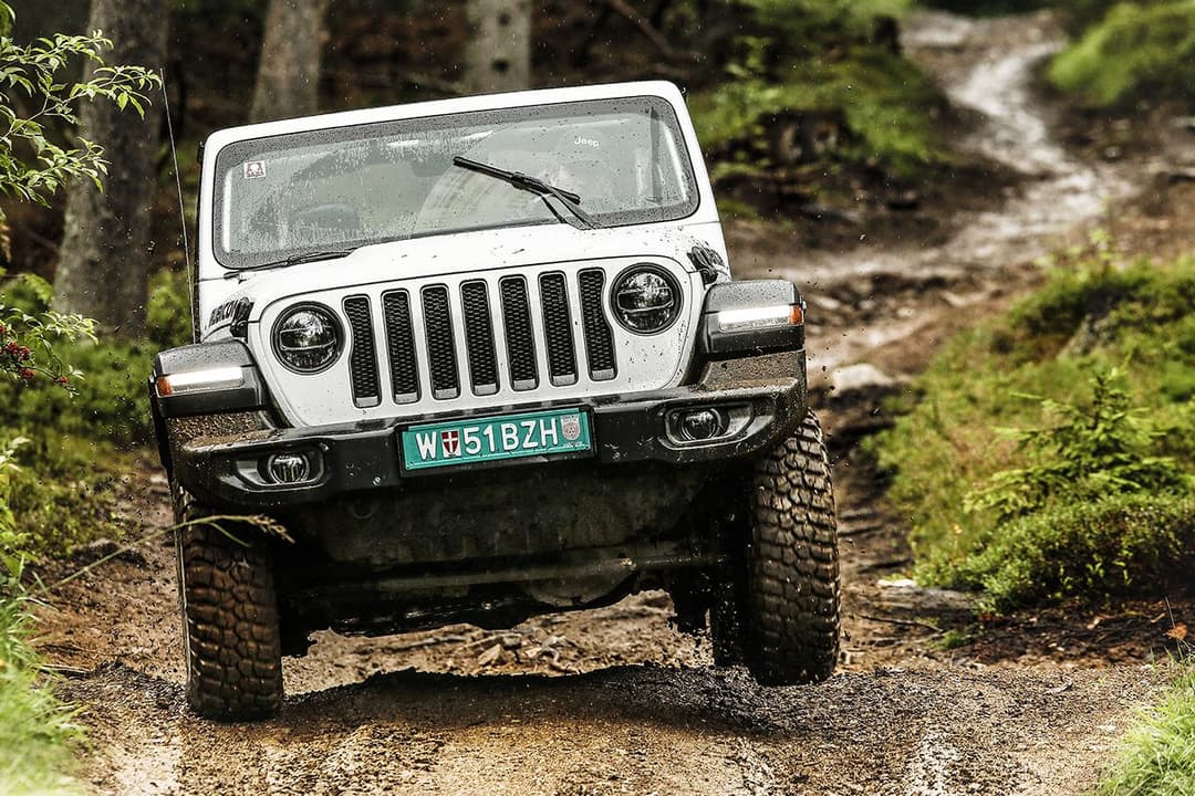 Jeep Wrangler blanche vue de face sur un chemin forestier boueux, entourée de végétation verte
